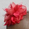 Fascinator Koralle