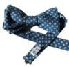 Fliege / Papillon