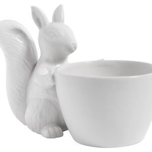Eichhörnchen mit Schüssel