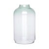 Vase klar/grün