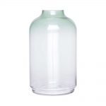 Vase klar/grün