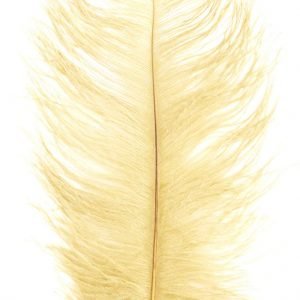 Feder Gelb Gold