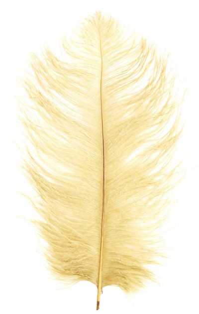 Feder Gelb Gold