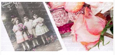 Karte Rose