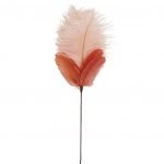 Federstrauss Rot / Rosa