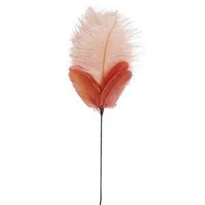Federstrauss Rot / Rosa