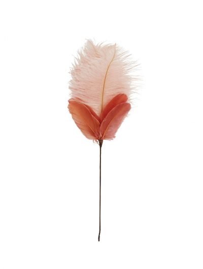 Federstrauss Rot / Rosa
