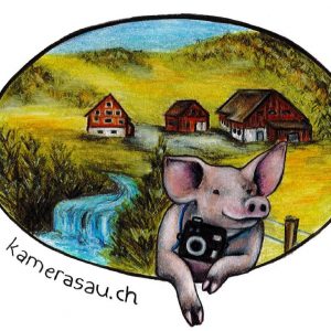 Fleisch vom Freilandschwein