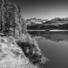 Plaun da Lej – HiRes Fotodruck