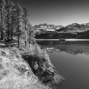 Plaun da Lej – HiRes Fotodruck