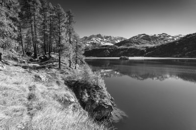 Plaun da Lej – HiRes Fotodruck