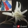 das ORIGINAL = hochwertige STOFF-Maske mit EDELWEISS Design