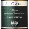 Pinot Grigio Venezia DOC